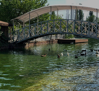 Живописный мост через пруд с утками в парке Central Park